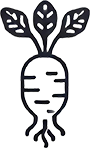 Maca Root Icon