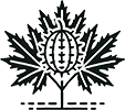 Tribulus terrestris Icon
